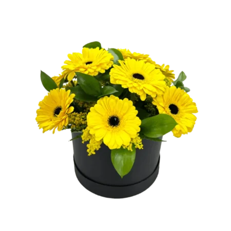 Box de Gerberas